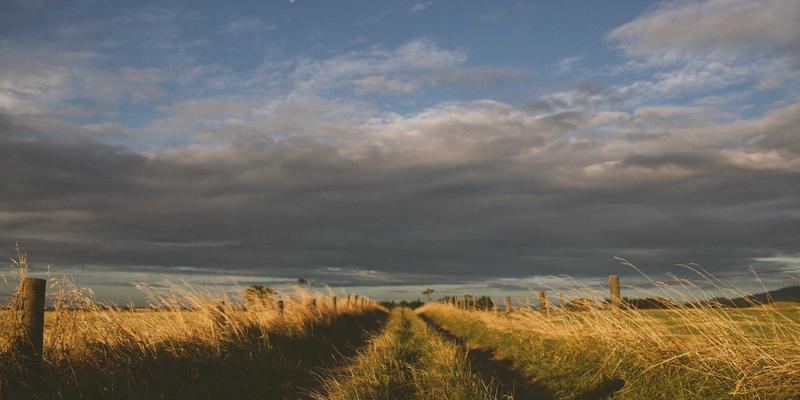 Kelsey Soronen:以创意作品集为镜,照见设计灵魂的深度与广度