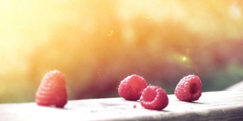 Kelsey Soronen：创意作品集如何重新定义艺术设计的叙事边界