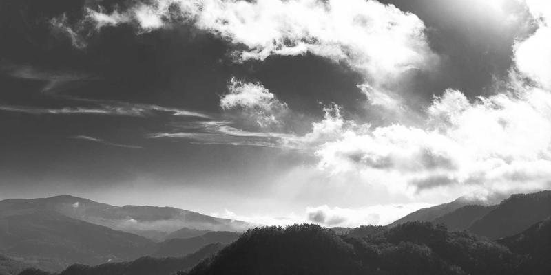 Kelsey Soronen创意作品集：探索数据新闻中艺术设计与功能性的完美平衡