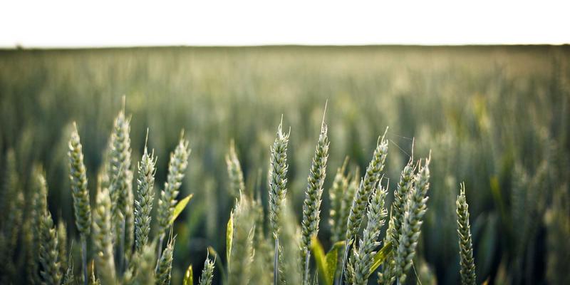 Kelsey Soronen：创意项目如何构建独特的艺术家档案与设计哲学