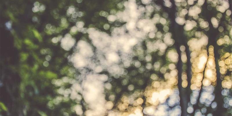 Kelsey Soronen：创意项目的灵感源泉与专业作品集构建指南