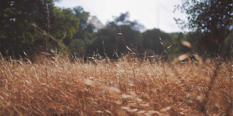 Kelsey Soronen：在工业艺术与设计作品之间构建诗意的桥梁