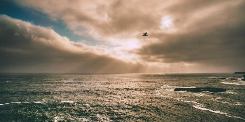 Kelsey Soronen：在艺术与设计的交汇处，编织视觉叙事