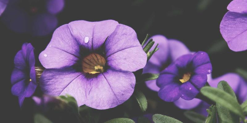 Kelsey Soronen：工业艺术的诗意重构与创意项目深度解析