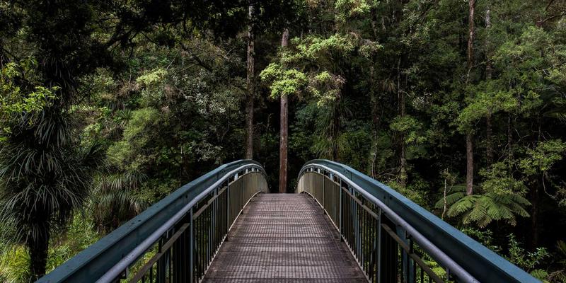 Kelsey Soronen的艺术之道：在新闻时效性与设计艺术性之间寻找完美平衡