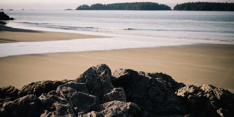 Kelsey Soronen的艺术设计：工业美学如何解构复杂数据与政策文件