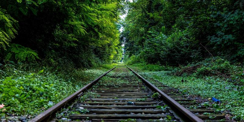 Kelsey Soronen:融合自然灵性与现代设计的艺术叙事