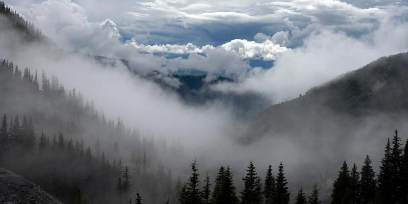 从Kelsey Soronen的艺术实践中探索创意项目的跨界融合与商业价值