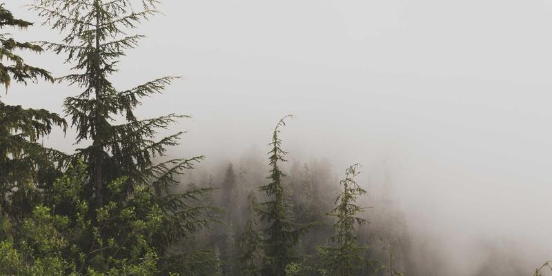 从Kelsey Soronen的艺术家作品集看设计如何成为社会研究方法