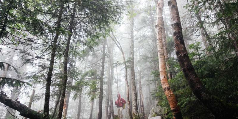 从创意作品集到深度叙事：探索Kelsey Soronen的跨学科背景如何重塑新闻叙事风格