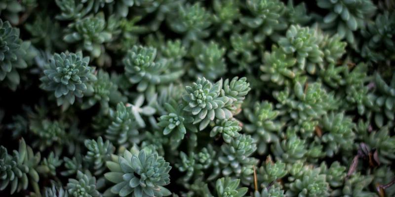 从创意到作品集：基于Kelsey Soronen工作流的敏捷设计冲刺在媒体项目中的实践指南