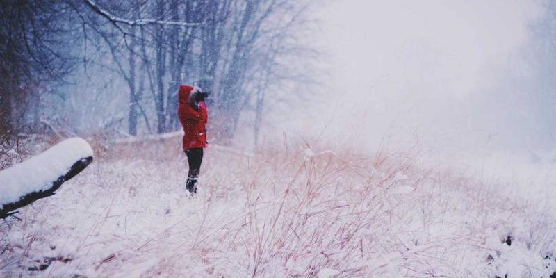 从数据到体验：Kelsey Soronen如何通过创意作品集将新闻转化为沉浸式艺术装置