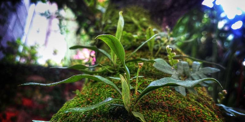 从数据叙事到视觉艺术：Kelsey Soronen的创意作品集与工业美学实践