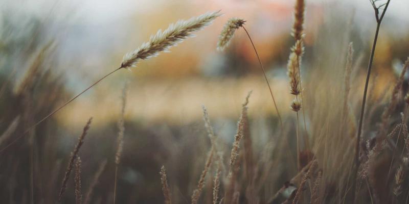 在档案与当代之间：解析Kelsey Soronen艺术设计作品中的历史对话