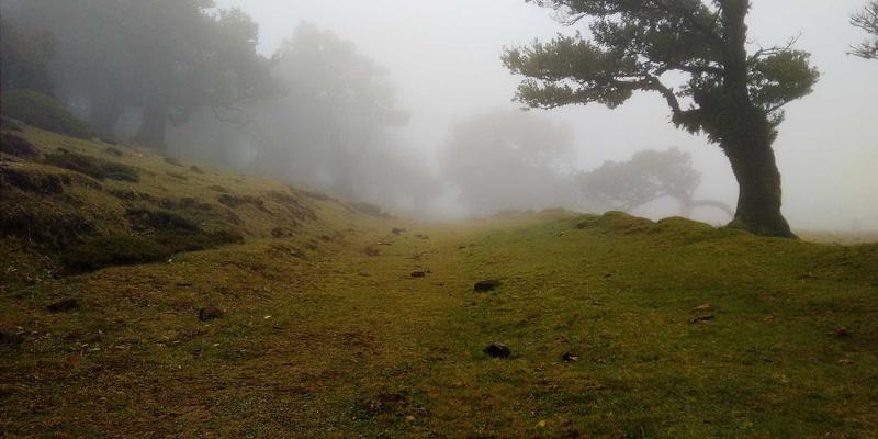 艺术设计与工业美学：Kelsey Soronen如何用设计思维重塑突发新闻报道