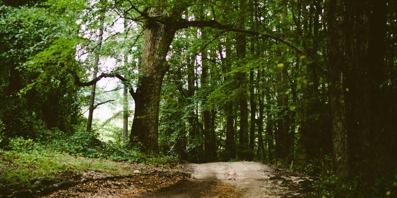 艺术设计与工业美学：Kelsey Soronen如何通过视觉叙事革新调查性报道的公众参与度